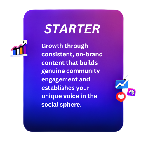 Digital Marketing Starter package for social media management and community management.